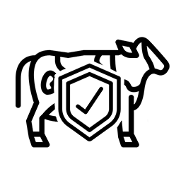 Resiembra